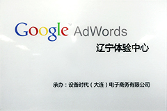 Google AdWords Premier SMB Partner