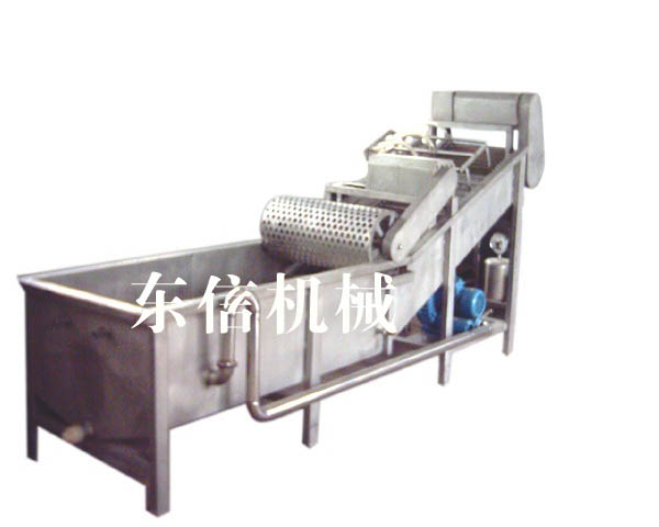 Vegetable washer