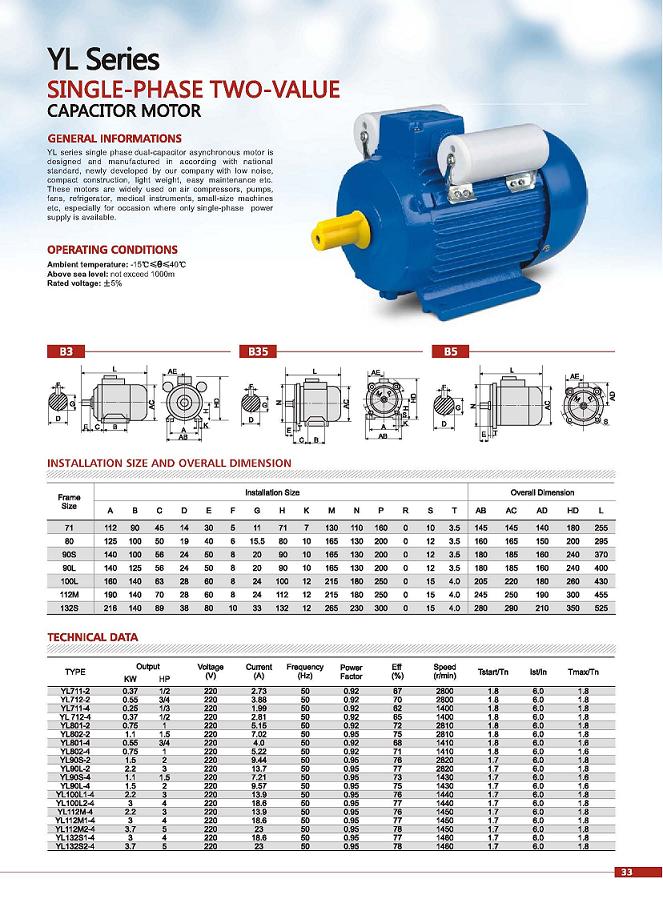 YL Series electric motor China electric motor Exportimes