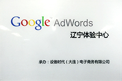 Google AdWords Premier SMB Partner
