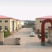 XG-900 washes the bone machine