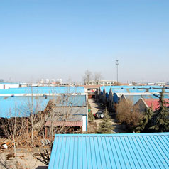 SFQ-880 Parents Shafts Slitting and Rewinding Machine