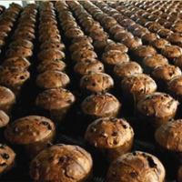 Multi-Grains Toasts 160g