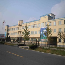 frozen boiled short necked clam