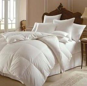 Polyester Quilt (WEW231)