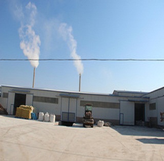 Best cat products 70 precent off premium bentonite cat litter bulk