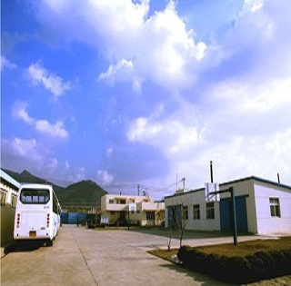 Hanwei XUG2040 Short Bladed Spear martial arts practical high quality decorated Viking spear current stock factory supply