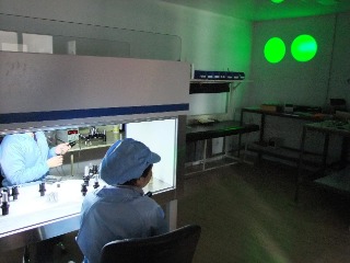 Springfield xdm 9mm Laser Sight